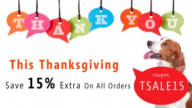 Thanksgiving Sale