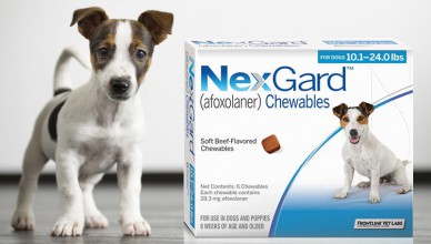 Nexgard