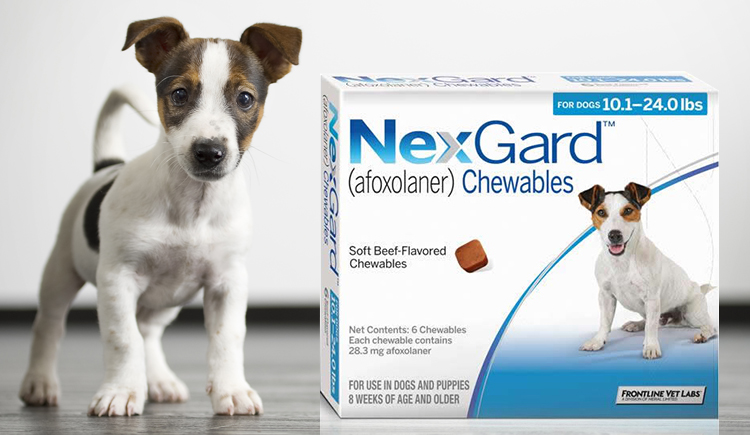 Nexgard