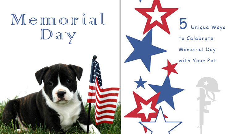 Memorial Day Celebration