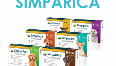 Product Spotlight Simparica