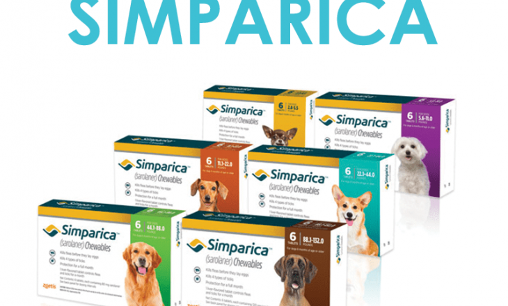 Product Spotlight Simparica