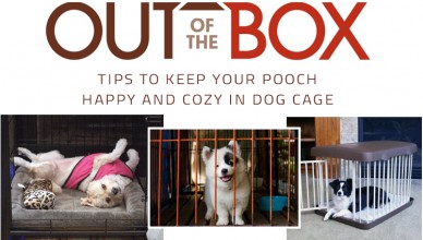 Keep canines in cage