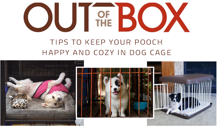 Keep canines in cage