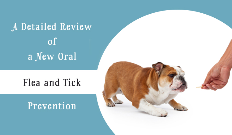 Simparica flea & tick oral treatment
