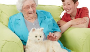 Companion Cats
