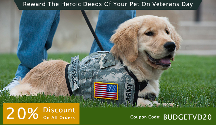 Reward the Heroic Deeds of Your Pet on Veterans Day