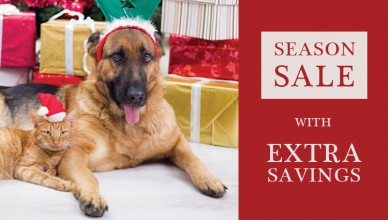 Pet Safe And Healthy During Holidays Season