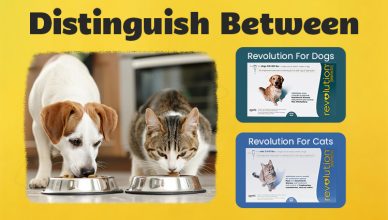 distinguish-between-revolution-for-cats-and-dogs