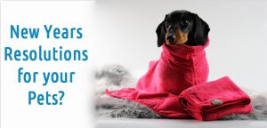 New Years Resolutions for your Pets