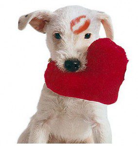 Token Of Your Love To Doggy