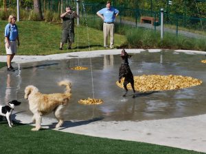 best friend pet care