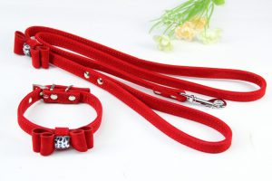 collar and leash
