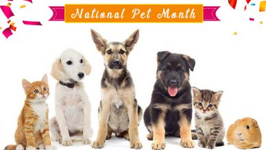 National Pet Month