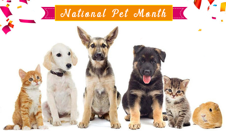 National Pet Month