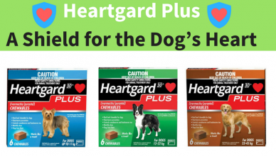 Heartgard Plus