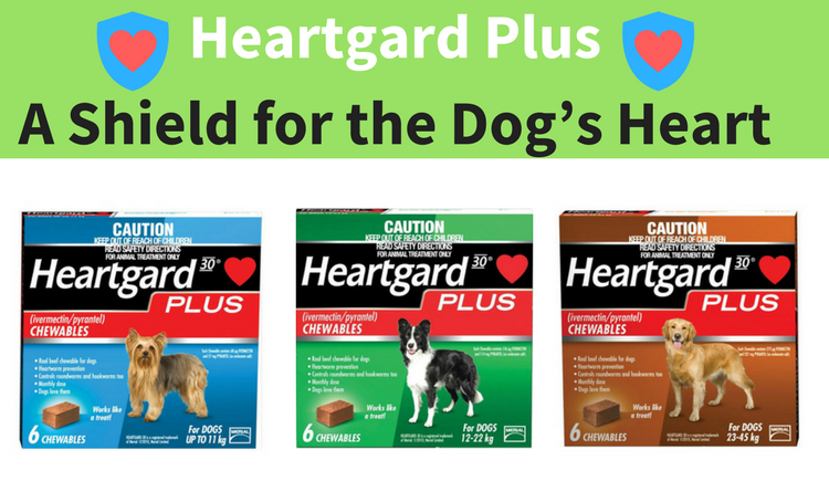 Heartgard Plus