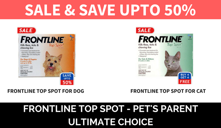 frontline top spot