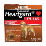 Heartgard Plus for Large Dogs