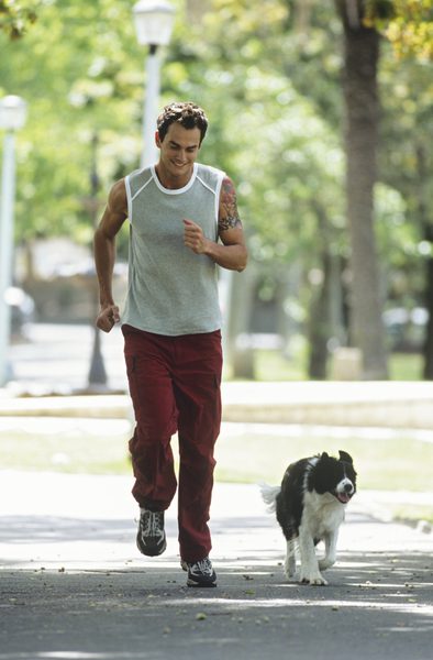 Loss of Energy in Dog - Budget Pet World Blog