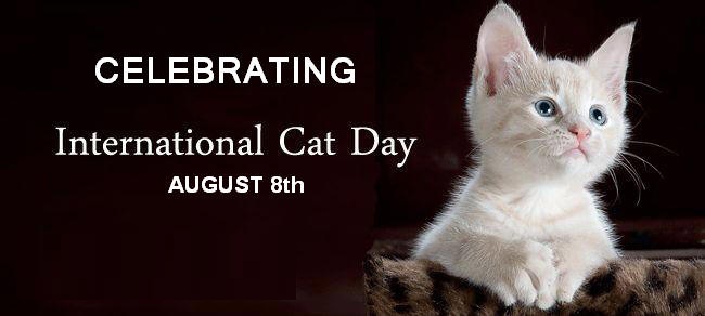 celebrating international cat day