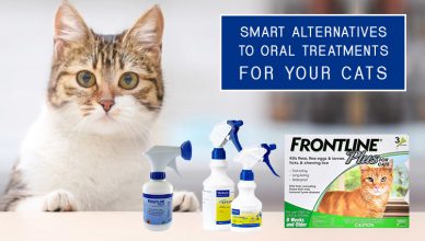 Alternatives to Oral flea Treatments