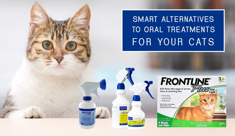 Alternatives to Oral flea Treatments