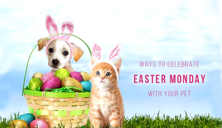 Ways To Celebrate Easter Monday With Your Pet