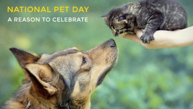 Reason to celebrate for National Pet Day