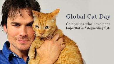 Global Cat Day- Celebrities who have been impactful in safeguarding Cats