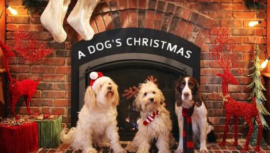 A Dog's Christmas