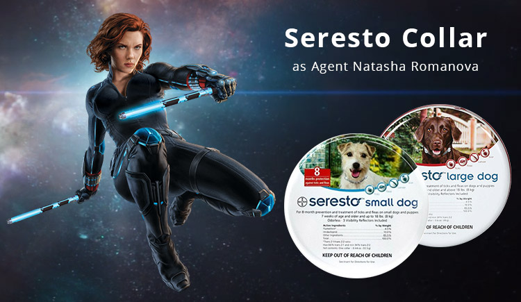 Buy Seresto The Black Widow