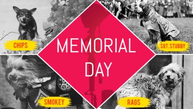 Memorial Day