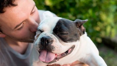 Dog love