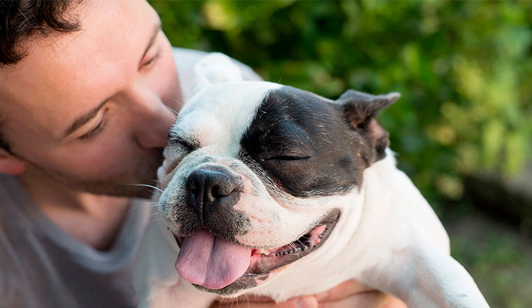 Dog love