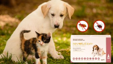 Revolution All in one Treatment