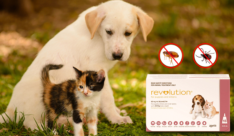 Revolution All in one Treatment