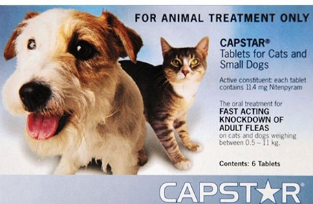 Acquista Capstar