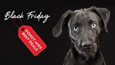 Mistakes Pet Parents Make On Black Friday