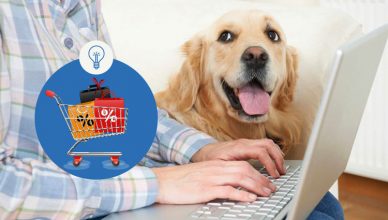 Cyber Monday Sale