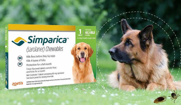 Simparica Oral Flea & Tick Preventive for Dogs