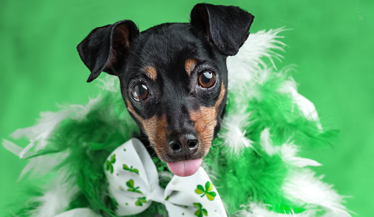 St. Patrick’s Day