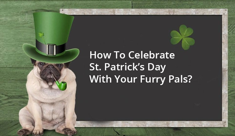 St. Patrick’s Day