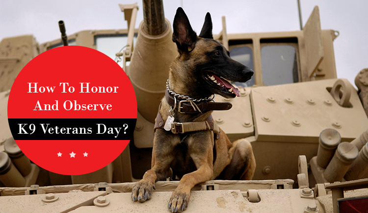 National K9 Veterans Day