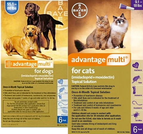 Advantage Multi (Advocate) an effective treatment for Heartworms & Fleas