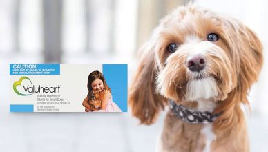 Valuheart - The Valuable Heartwormer for Dogs
