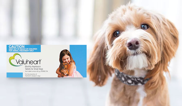 Valuheart - The Valuable Heartwormer for Dogs