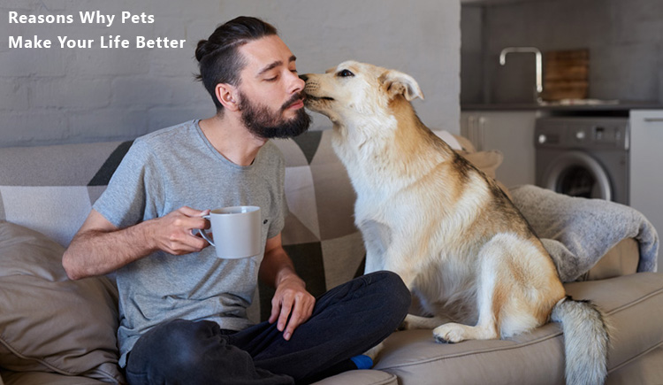 Reasons Why Pets Make Your Life Better