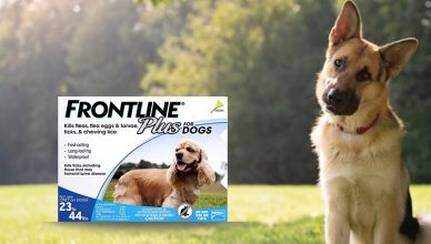 Frontline Plus per cani