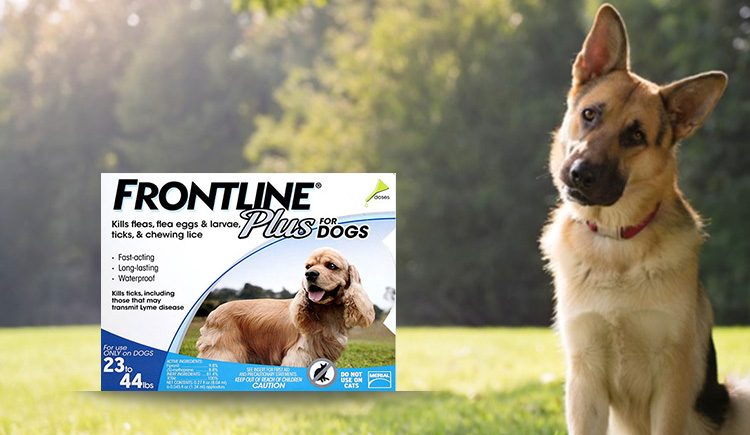 Frontline Plus per cani